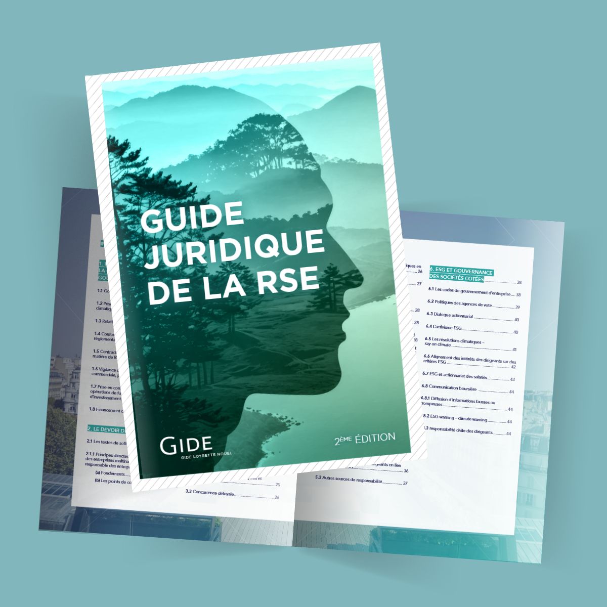 I Me Edition Du Guide Juridique De La Rse